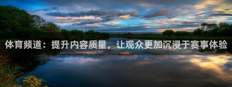 体育频道：提升内容质量，让观众更加沉浸于赛事体验