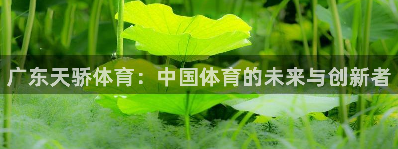 广东天骄体育：中国体育的未来与创新者