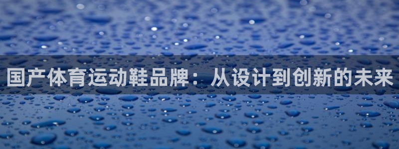 国产体育运动鞋品牌：从设计到创新的未来