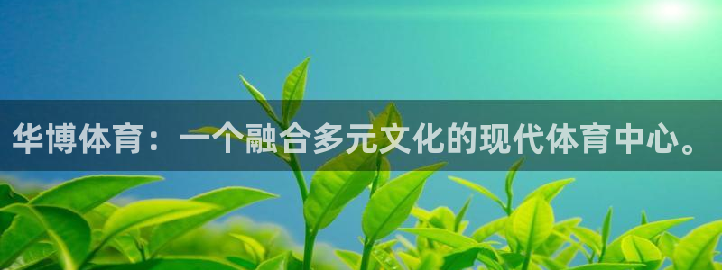 华博体育：一个融合多元文化的现代体育中心。