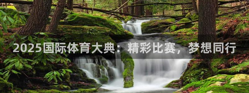 2025国际体育大典：精彩比赛，梦想同行