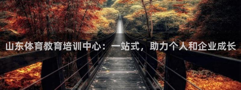 山东体育教育培训中心：一站式，助力个人和企业成长